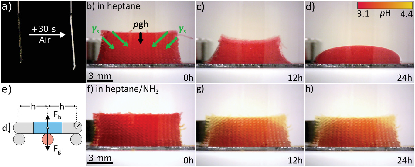 漢堡大學(xué)：直接墨水書寫技術(shù)3D打印TiO2納米粒子氣凝膠