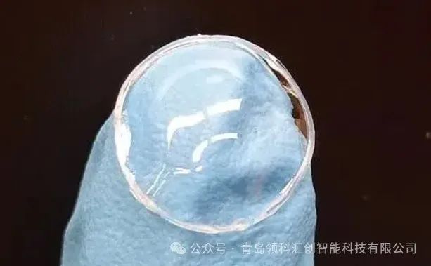 3D打印水凝膠隱形眼鏡，可在眼部持續(xù)釋放藥物 圖片